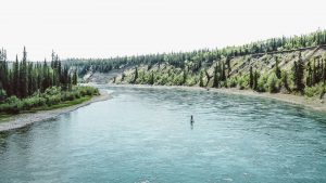 Adventurer Marcus Aspsjö. Photo taken during the making of the documentary ”När skogen tystnar” ( Swedish for “When the forest falls silent”), where adventurer Marcus Aspsjö sets out to explore the situation of the wilderness and what it really means for us.