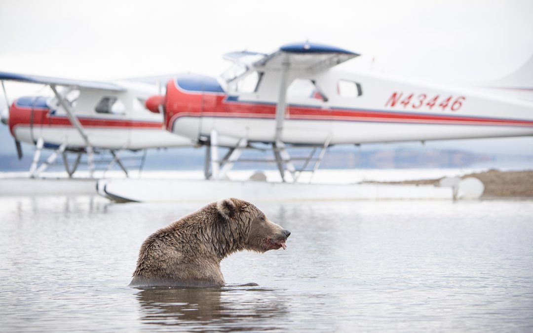 How Sustainable Jet Fuel is Changing the Aviation Industry for the Better