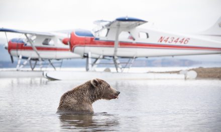 How Sustainable Jet Fuel is Changing the Aviation Industry for the Better