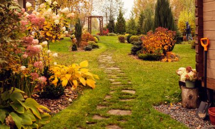 Biodiversity: Big Picture and Backyard