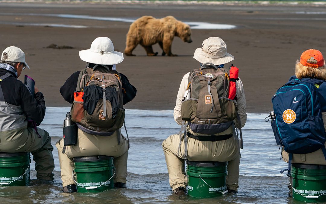 Paws Over Picks: Conservation Travel’s Role in Southwest Alaska’s Economy