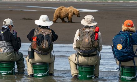 Paws Over Picks: Conservation Travel’s Role in Southwest Alaska’s Economy