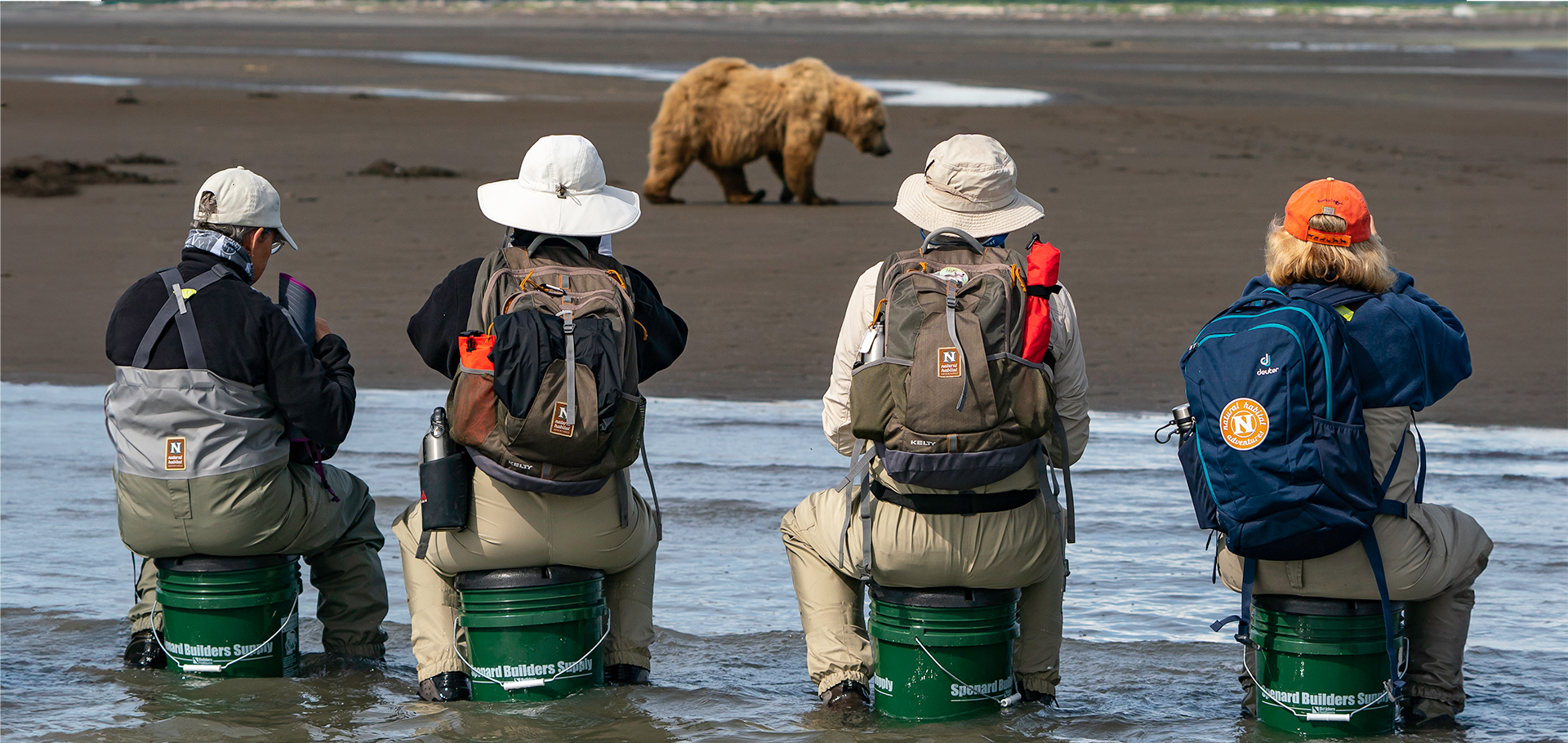 southwest alaska grizzly bear brown bear tourism sustainable ecotourism nature conservation travel wildlife photography