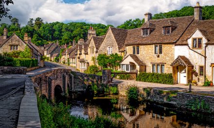 Europe’s New Laws for Restoring Nature