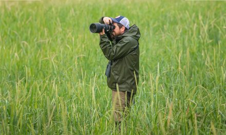 Explore Nat Hab’s Photo Expeditions & Conservation Photography: Q & A with Our Photo Expedition Co-Directors