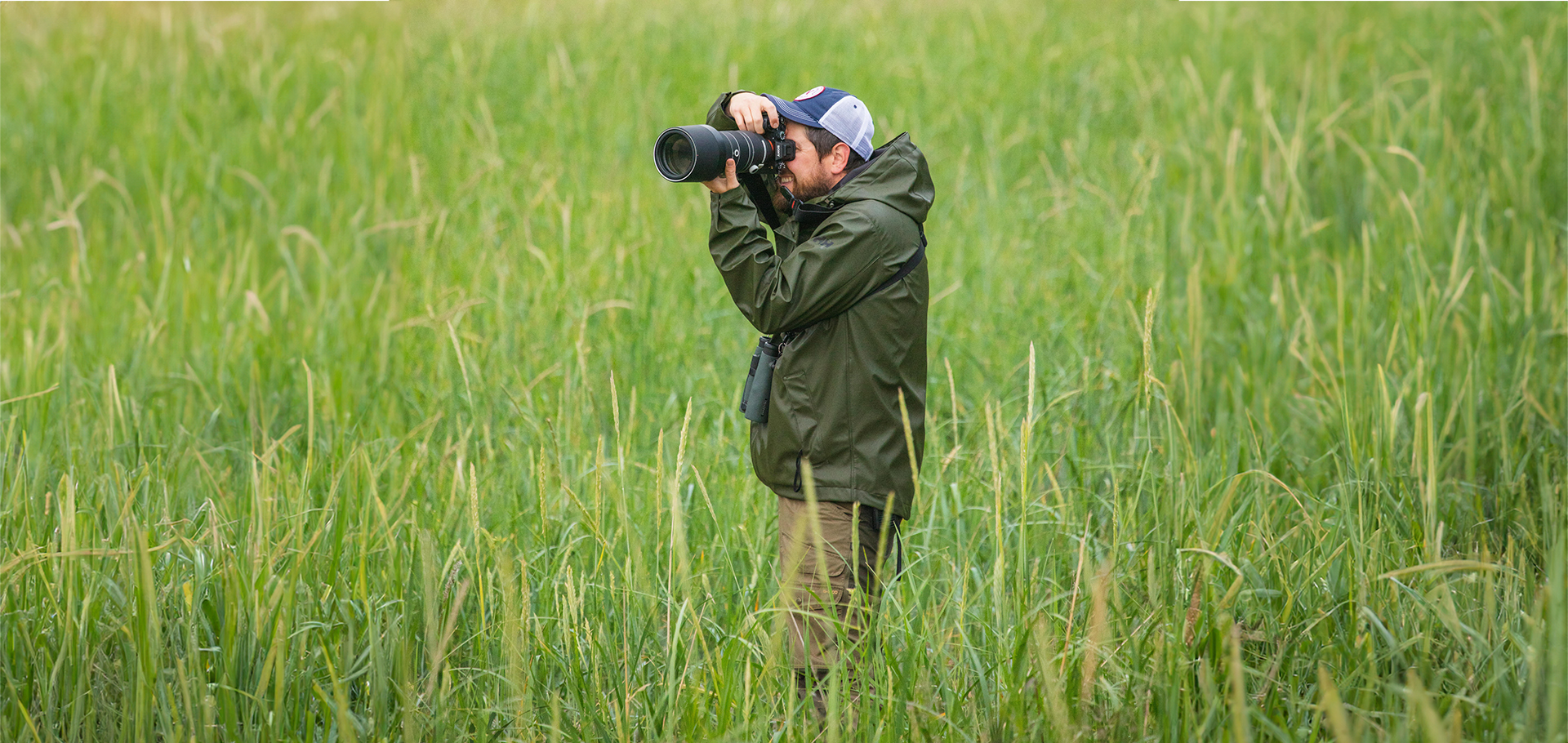 Alaska grizzly brown bear conservation photography