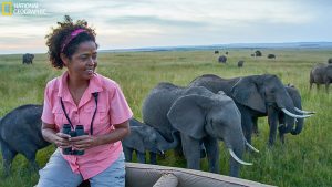 Paula Kahumbu surrounded by elephants in Maasai Mara by © Charlie Hamilton James, Courtesy of Kahumbu's Facebook