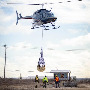When trash isn't properly managed, the smell can attract wildlife. Nat Hab Expedition Leader © Lianne Thompson captured this all-too-common instance where authorities had to evacuate a polar bear from the town for its own safety and the safety of residents. The bears are taken to a special holding facility where they await transport back to the tundra.