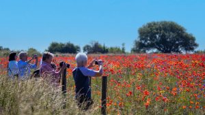 women wildflower fields cotswolds england