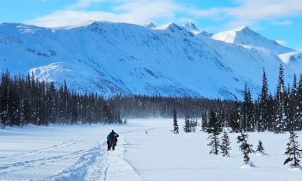 Nat Hab’s Mayella Krause Bikes the Iditarod: Tackling the World’s Toughest Race, Part 1