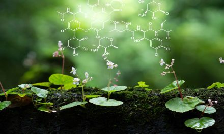 Braiding Science, Kinship With Nature, and Communal Well-Being