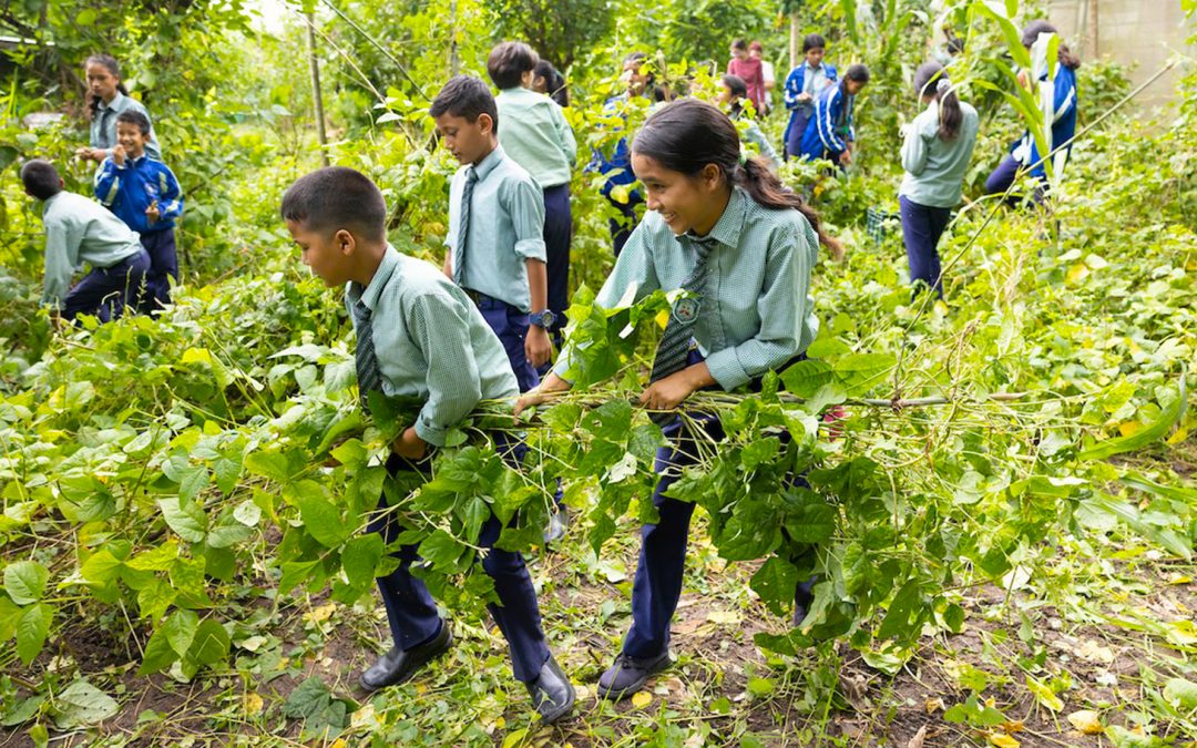 Sustainability Champions: Inside Nepal’s Award-Winning Kopila Valley School