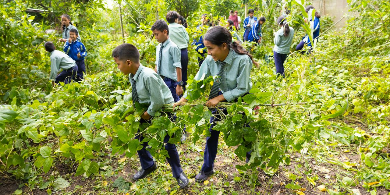 Sustainability Champions: Inside Nepal’s Award-Winning Kopila Valley School