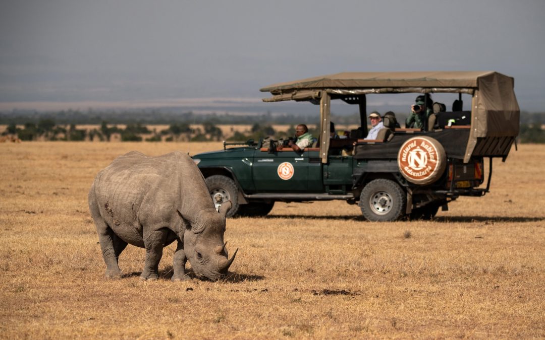 Explore 6 New Nat Hab Journeys: Madagascar, Iceland, Portugal & Beyond