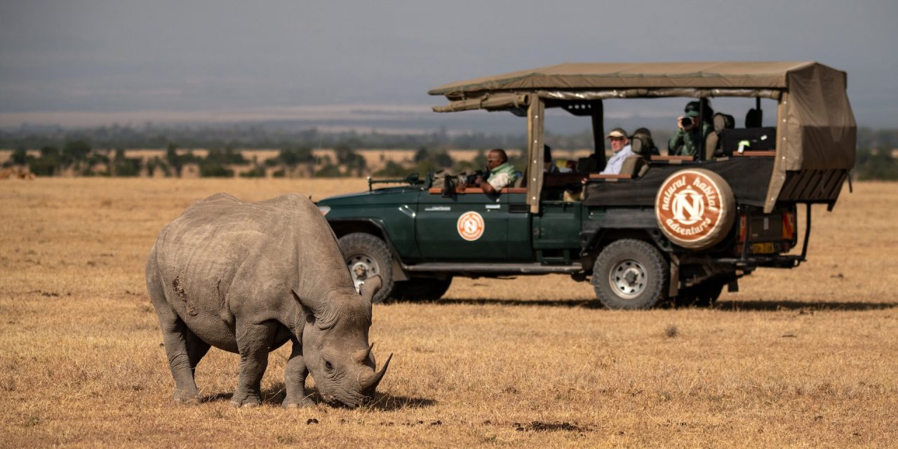 Explore 6 New Nat Hab Journeys: Madagascar, Iceland, Portugal & Beyond