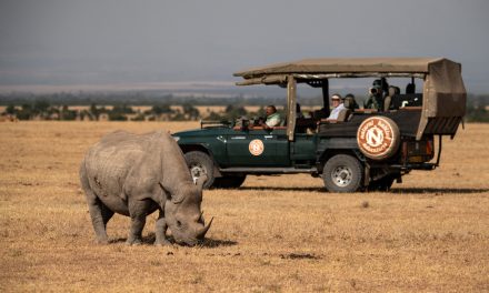 Explore 6 New Nat Hab Journeys: Madagascar, Iceland, Portugal & Beyond