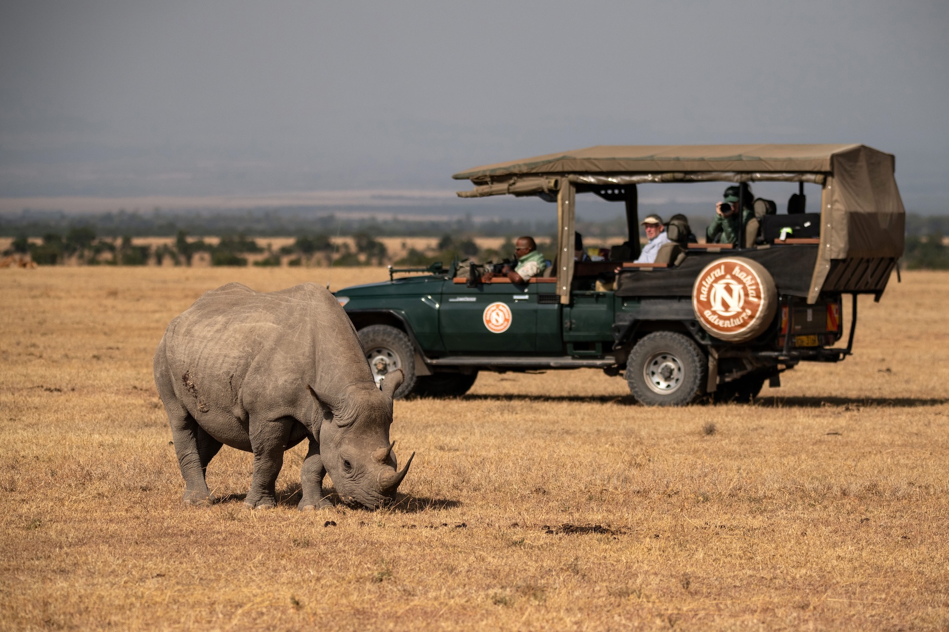Nat Hab guests encounter a rhino on safari in Kenya