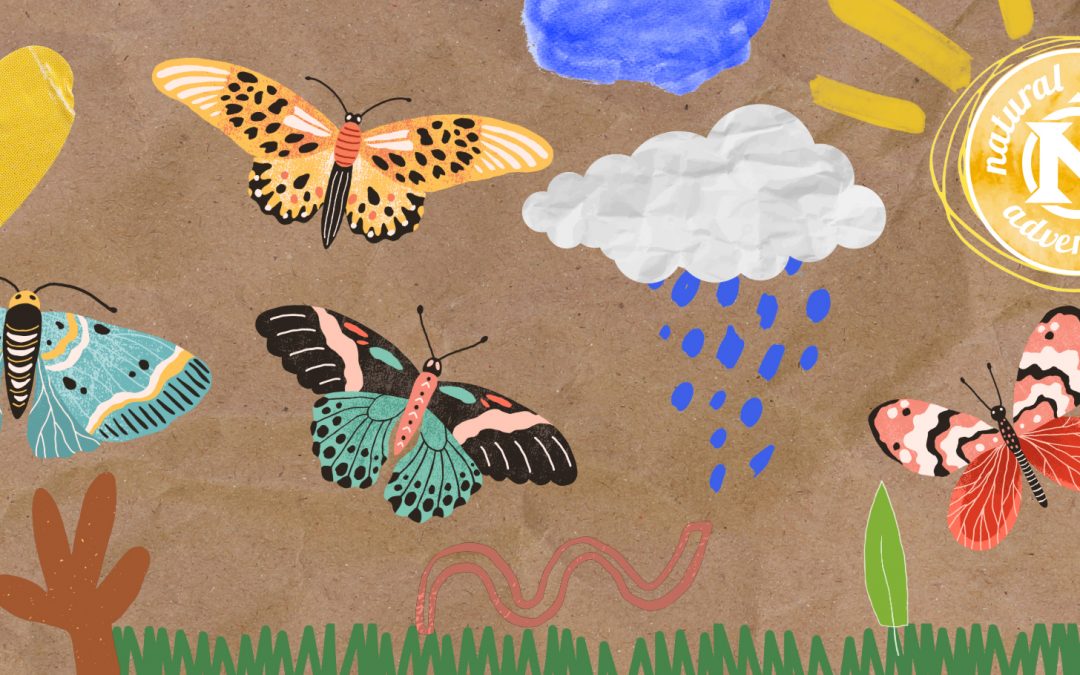 Kids’ Art Takes Flight: Nat Hab Philanthropy Supports Monarch Conservation Education