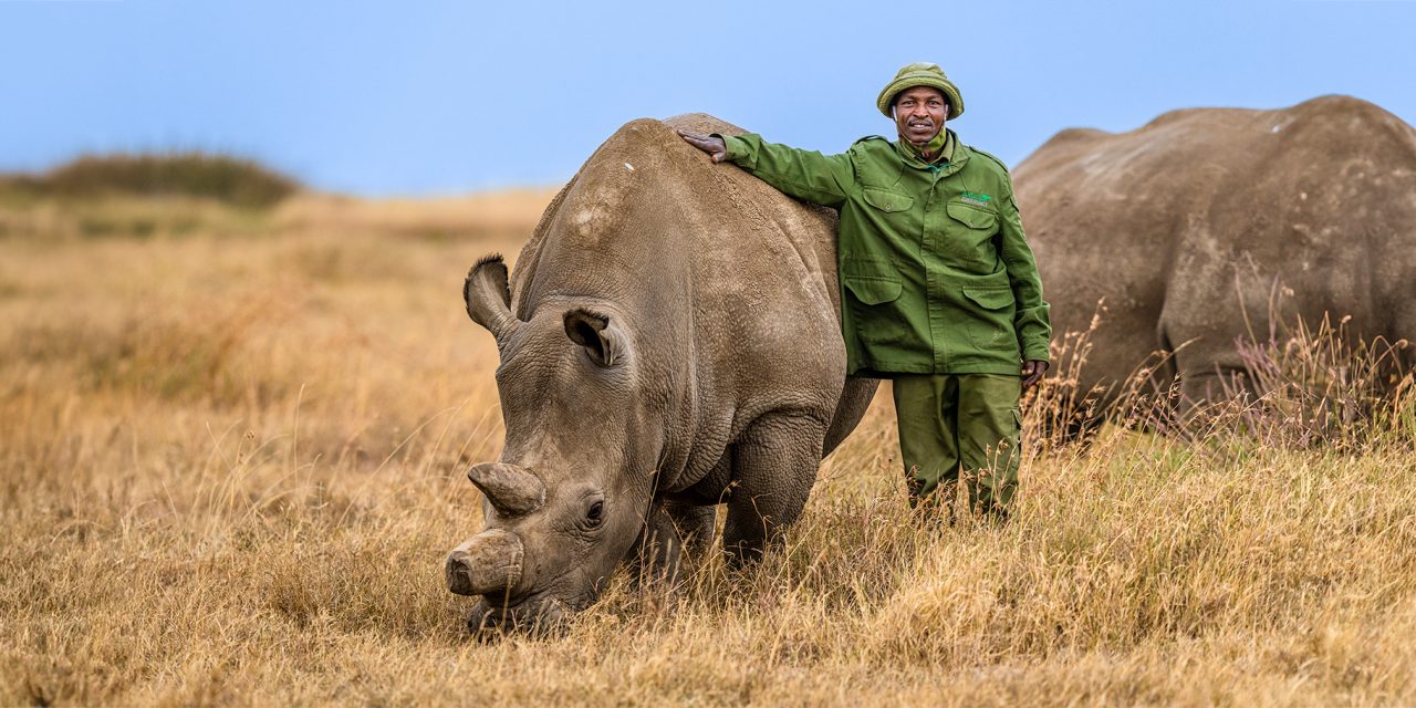 Advancing Wildlife Conservation at Kenya’s Ol Pejeta: Gundi’s Technological Breakthrough at Nat Hab’s Rhino Camp