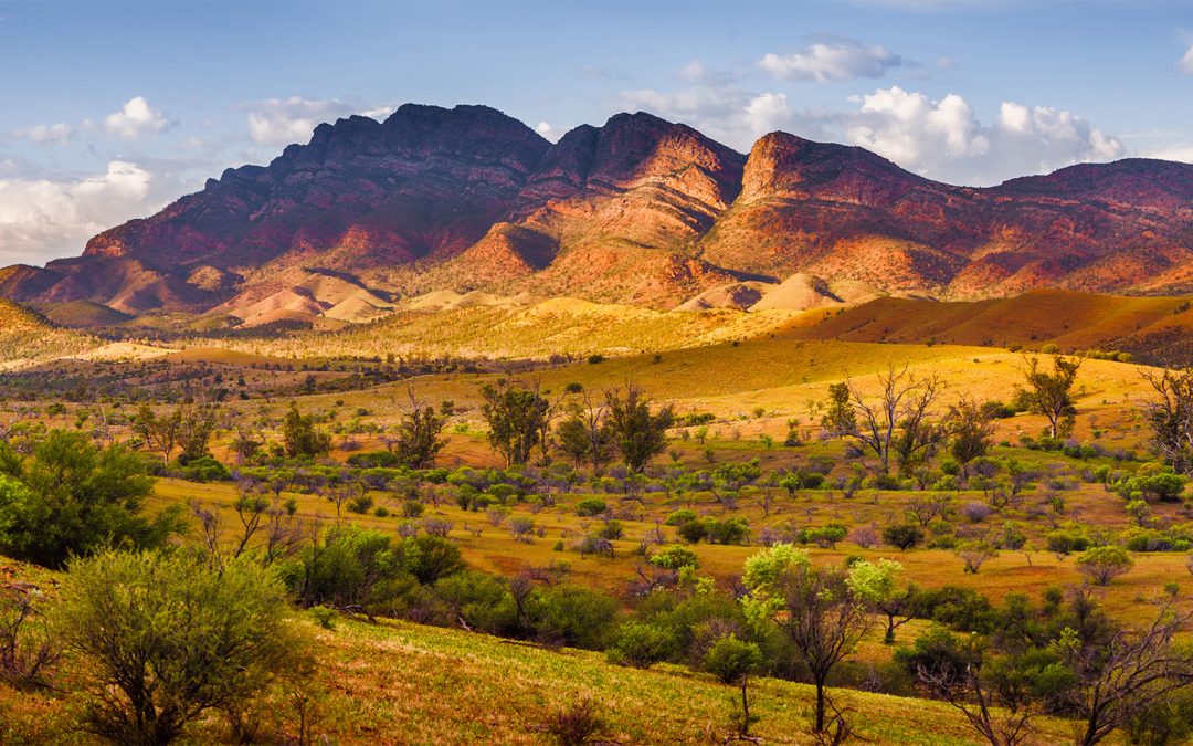 Explore the Australian Outback in Ikara-Flinders Ranges National Park on This Epic Safari