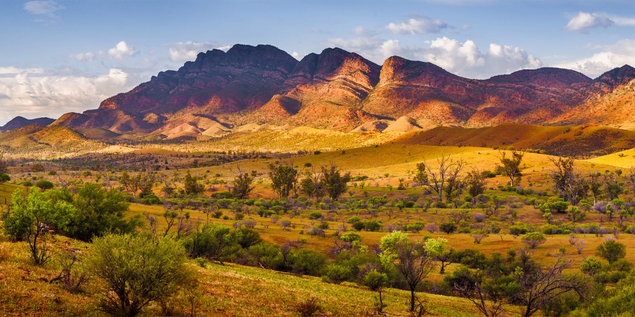 Explore the Australian Outback in Ikara-Flinders Ranges National Park on This Epic Safari