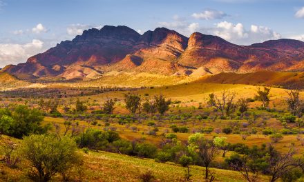 Explore the Australian Outback in Ikara-Flinders Ranges National Park on This Epic Safari