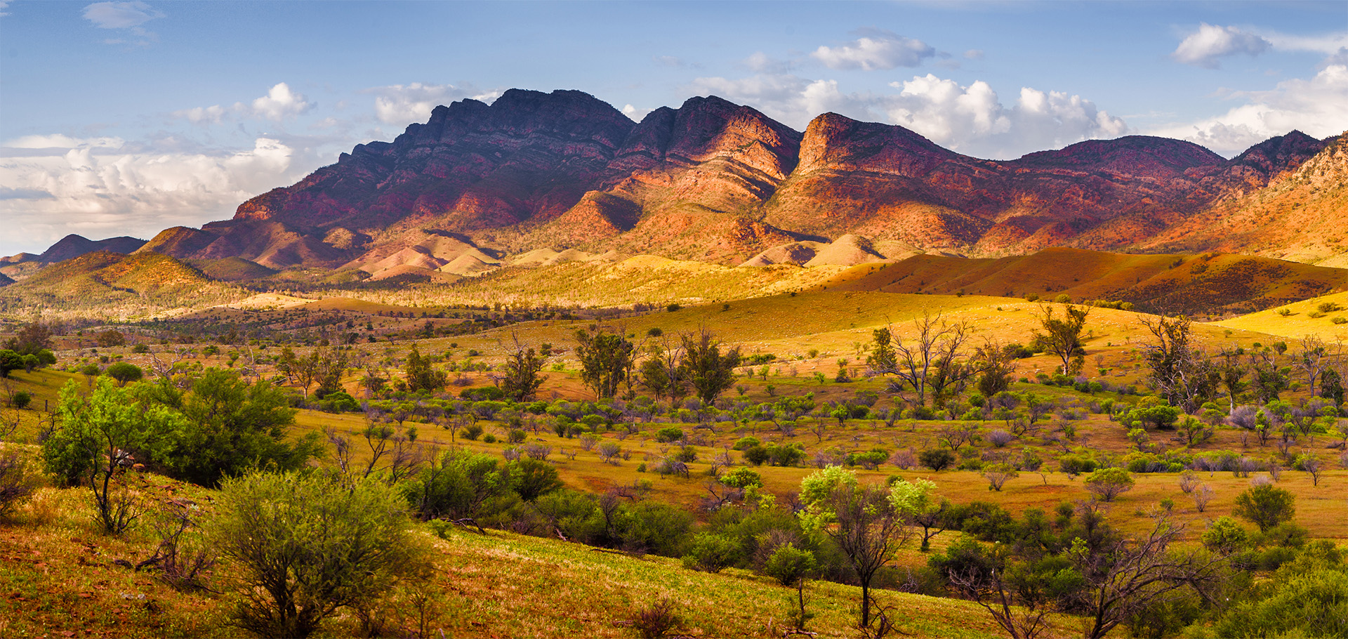 Ikara-Flinders Ranges National Park is situated in the Flinders Ranges in the Australian Outback, about 270 miles north of Adelaide. This region has a geological and natural history dating back 600 million years and is the ancestral land of the Adnyamathanha people. Adnyamathanha translates to 'Rock People' and is the name of their traditional language. The ancient rock formations that define the Flinders Ranges are some of the most breathtaking and dramatic landscapes in the Outback.