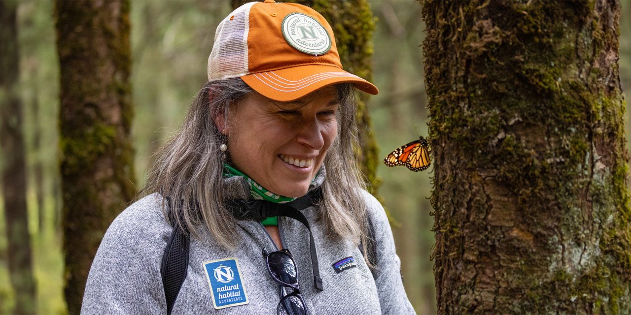 Why Milkweed Matters: A Guide to Growing Monarch Habitat