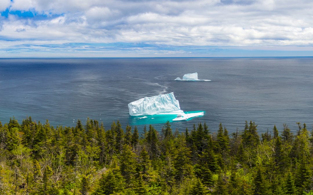 5 Reasons to Explore Newfoundland & Labrador