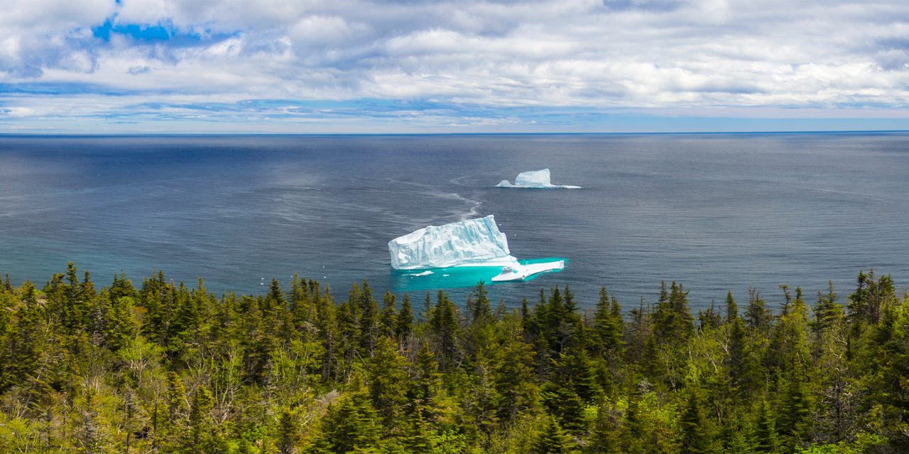 5 Reasons to Explore Newfoundland & Labrador