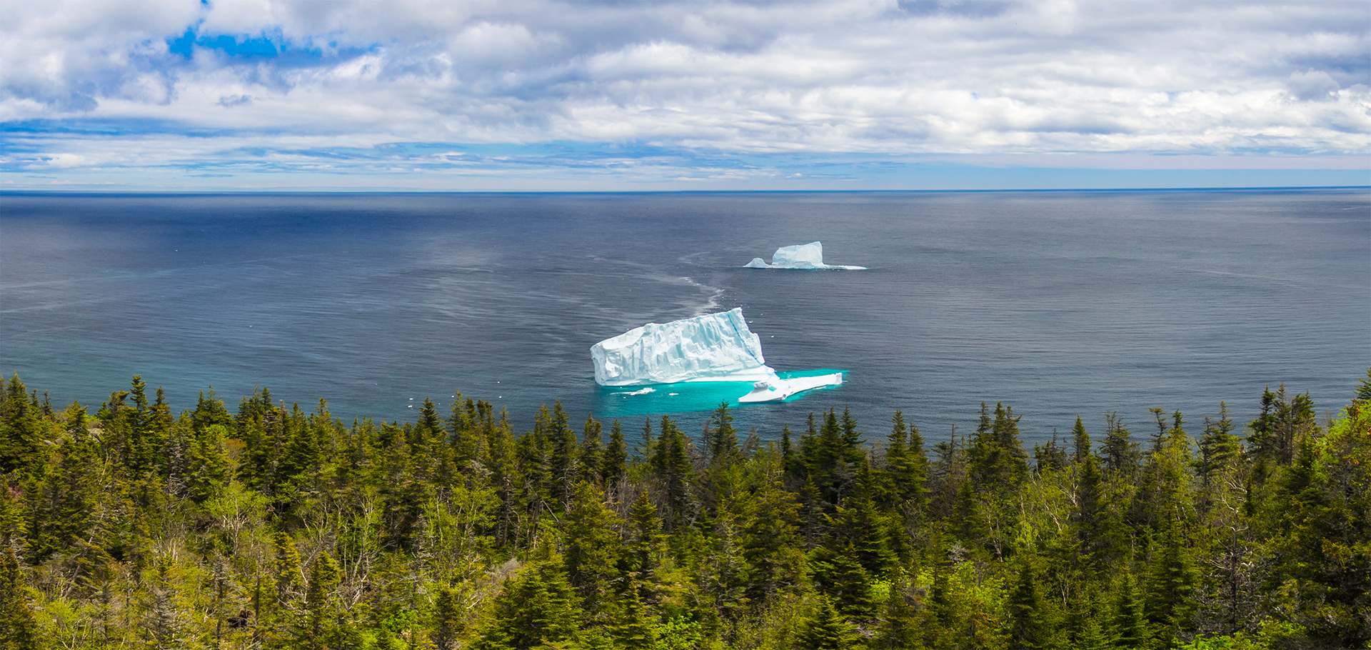 Colorful view of Icebergs near St. John's, Newfoundland, Canada, North America
