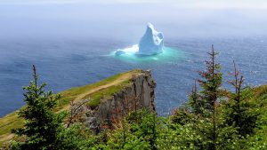iceberg newfoundland canada