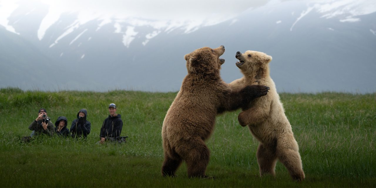 Alaska’s Bear Coast: A Shared Kinship and a Guide’s Legacy