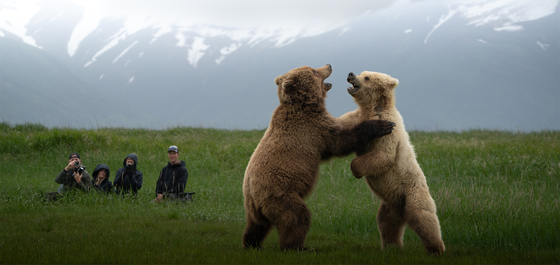 Nat Hab's Alaska Bear Camp, bear wildlife viewing, Alaska Lake Clark National Park, Nature tour, ecotourism, sustainable travel, grizzly bears, coastal brown bears, wildlife conservation, Natural Habitat Adventures, WWF, World Wildlife Fund