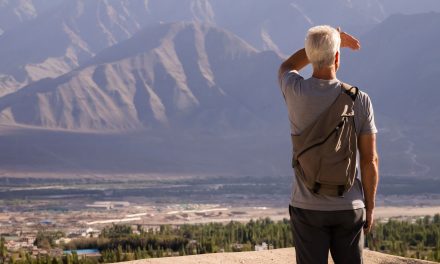 Travel: Changing Patterns and Aging Well