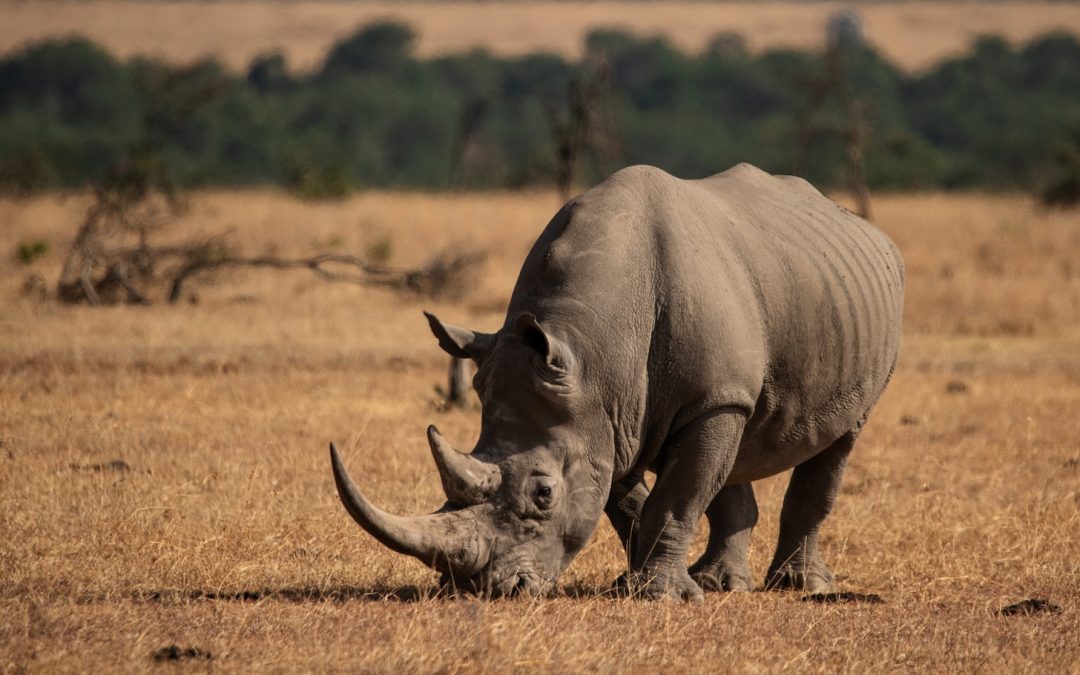 Natural Habitat Adventures Announces Five New Trips for 2025