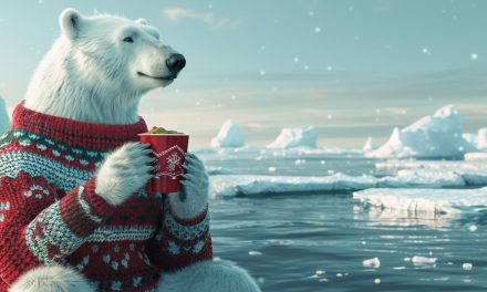 Polar Bear Paws, Problems and a Promising Plan