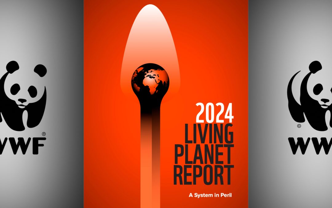 WWF’s Living Planet Report: Biodiversity, the Climate Crisis & What’s Next