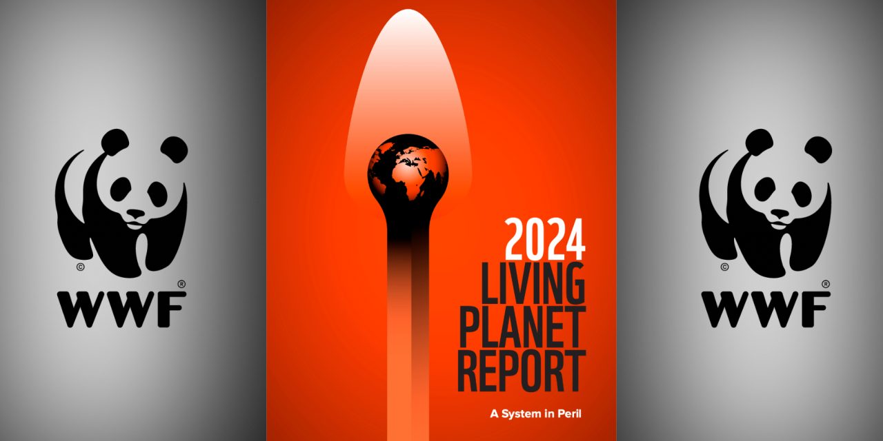 WWF’s Living Planet Report: Biodiversity, the Climate Crisis & What’s Next