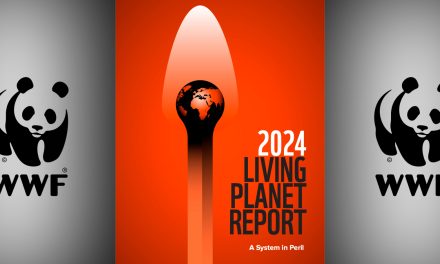 WWF’s Living Planet Report: Biodiversity, the Climate Crisis & What’s Next