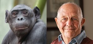 AdobeStock (Created by Candice Gaukel Andrews)