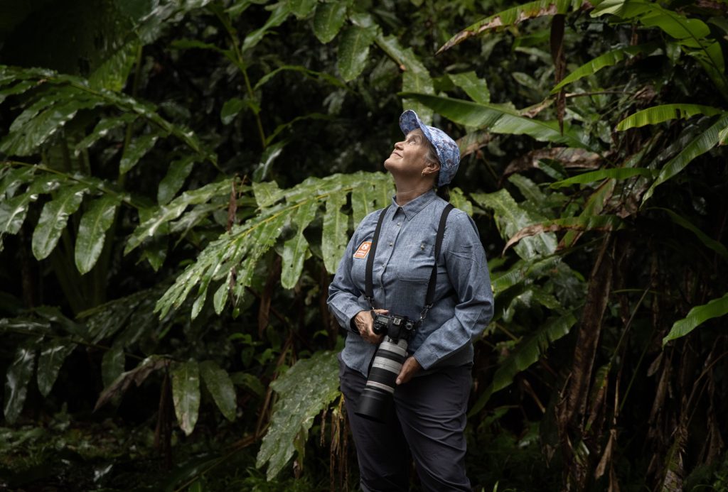 Nat Hab guest listening to birds sing in the Bornean canopy