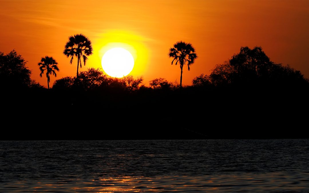 Botswana’s Wild Kingdom: A Safari Story