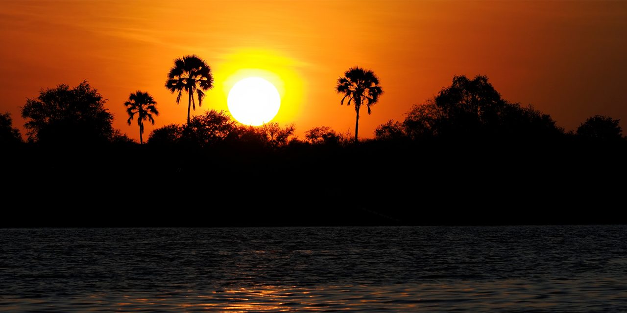 Botswana’s Wild Kingdom: A Safari Story