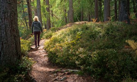 Nature in 2025: Aid to Attention, Happiness and Well-Being