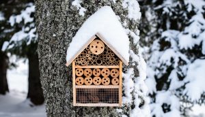 wooden insect house hung on tree in winter snow