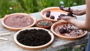 woman is manufacturing seed balls or seed bombs on a wooden table, flower field in the background