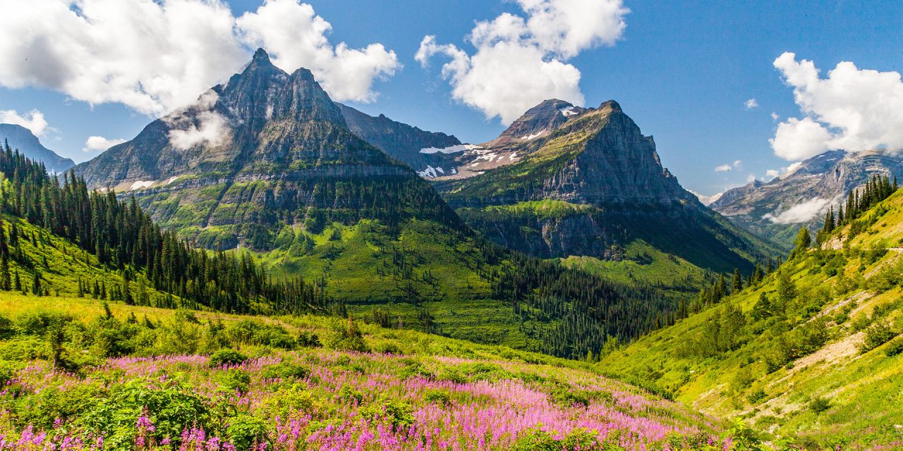 Protecting Our Public Lands