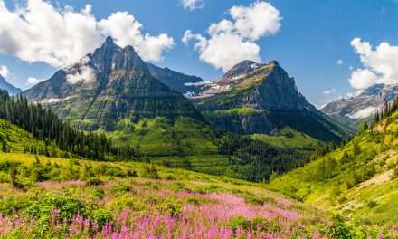 Protecting Our Public Lands