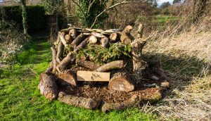 Bug Hotel. A construction of logs, branches and woodchips made by a local youth club to provide a suitable environment for wild insects in Holt Wiltshire